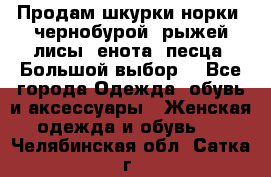 Продам шкурки норки, чернобурой, рыжей лисы, енота, песца. Большой выбор. - Все города Одежда, обувь и аксессуары » Женская одежда и обувь   . Челябинская обл.,Сатка г.